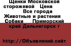 Щенки Московской сторожевой › Цена ­ 35 000 - Все города Животные и растения » Собаки   . Приморский край,Дальнегорск г.